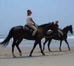 Horseback Riding on the Beach